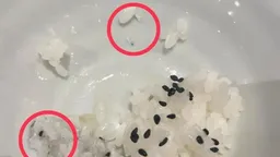 白飯竟藏陶瓷碎片！台中3歲童遭割傷口腔 大戶屋道歉了